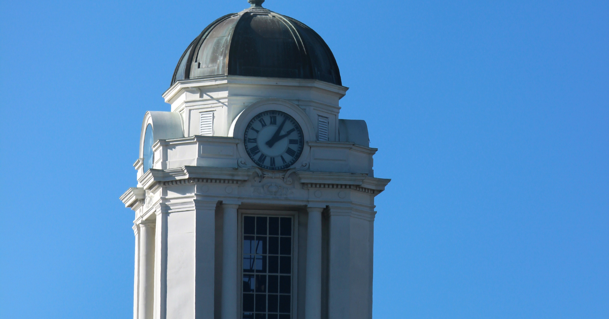 Pest Control Greenville, NC