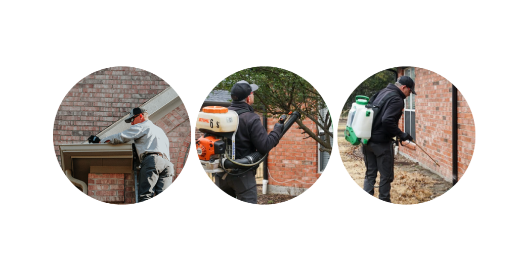 Pest Control Greenville, NC